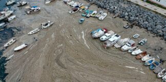 Müsilaj Raporu: “Marmara Denizi’ni kirleten atık suların büyük çoğunluğu belediyeler ve diğer bölümü endüstriyel tesisler tarafından veriliyor.”