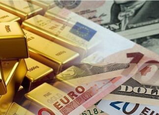 Dolar yükselişini sürdürüyor