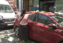 Otomobilin üzerine devrilen ağaçtan kuşlar misali dut’landılar!