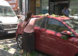 Otomobilin üzerine devrilen ağaçtan kuşlar misali dut’landılar!