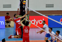 Filenin Efeleri’nden Avrupa Altın Ligi’ne harika başlangıç, Türkiye 3-0 Slovakya