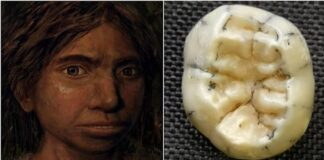 Bir kız çocuğuna ait 130.000 Yıllık Diş, Güneydoğu Asya’daki Soyu Tükenmiş Denisovalıların İlk Kanıtı Olabilir