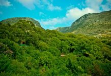 Hatay’da ormanlara giriş 5 ay süreyle yasaklandı