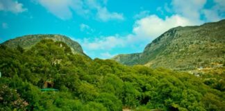 Hatay’da ormanlara giriş 5 ay süreyle yasaklandı