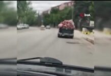 Bu etler vatandaş yesin diye taşınıyor!