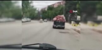 Bu etler vatandaş yesin diye taşınıyor!