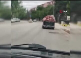Bu etler vatandaş yesin diye taşınıyor!
