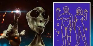 Demek ki, ‘onlar’ da ‘bizden’ … NASA, ‘uzaylıları çekmek’ için insanların çıplak fotoğraflarını gönderecek