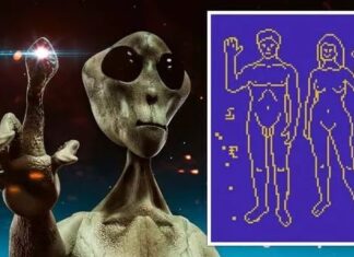 Demek ki, ‘onlar’ da ‘bizden’ … NASA, ‘uzaylıları çekmek’ için insanların çıplak fotoğraflarını gönderecek