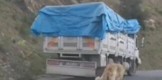 Kirli Vicdan…! Köpeği Kamyonun Arkasına Bağlayıp Sürükledi!