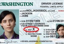 Cinsiyetten bağımsız ilk sürücü ehliyetlerinin verilmesine New York’ta başlandı