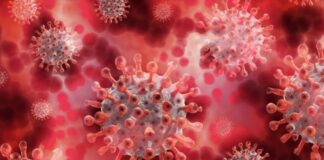 İki ülkede daha maymun çiçeği virüsüne rastlandı; Almanya’dan karantina kararı