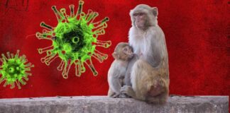 Sağlık Bakanlığı: “Ülkemizde bugüne kadar ‘maymun çiçeği’ vakası görülmemiştir”