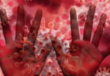 Virüs, Belçika ve İsrail’e de sıçradı; Profesör Leblebicioğlu: “Maymun çiçeği dünyayı etkileyecek yeni bir salgın olabilir”