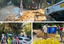 Üsküdar Belediyesi Validebağ Korusu’na hafriyat döktü, İBB ceza kesti; Üsküdar itiraz etti, Mahkeme itirazı reddetti!