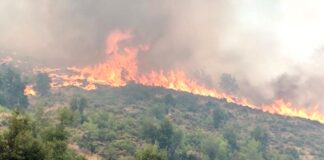 Köyceğiz’de orman yangını;hava araçları gönderildi