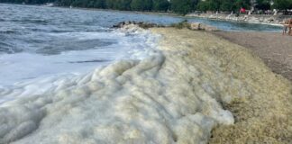 Bir göl daha mı elden gidiyor; Bursa’da İznik Gölü’ne girmek yasaklandı!