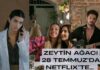 NETFLİX/ZEYTİN AĞACI;CANBERK TURAN DEĞERLENDİRİYOR