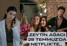 NETFLİX/ZEYTİN AĞACI;CANBERK TURAN DEĞERLENDİRİYOR