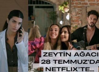 NETFLİX/ZEYTİN AĞACI;CANBERK TURAN DEĞERLENDİRİYOR