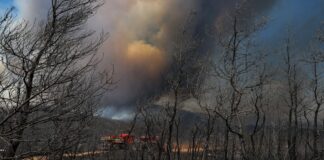 Marmaris’te, Alevler Değirmenyanı’na ulaştı
