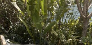 AKASYA YAŞAROĞLU ABD’DE MİLYON DOLARLIK VURGUNLA İLGİLİ SUÇLANIYOR!