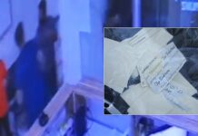 Saldırganlar serbest kalınca doktor diplomasını yırttı