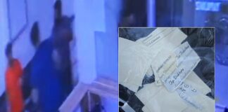 Saldırganlar serbest kalınca doktor diplomasını yırttı