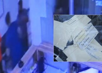 Saldırganlar serbest kalınca doktor diplomasını yırttı