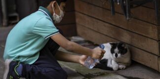 İzmir, Aydın, Muğla… 40 üzeri uyarısı!