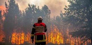 Fransa’da geçen hafta orman yangınlarını çıkarmakla suçlanan kişi bir itfaiyeci çıktı!