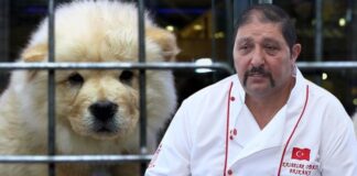 Petshoplar, Kasaplar Odası’na bağlandı; Başkan, ‘Konu yanlış anlaşıldı’ dedi.