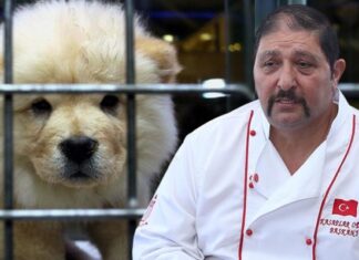 Petshoplar, Kasaplar Odası’na bağlandı; Başkan, ‘Konu yanlış anlaşıldı’ dedi.