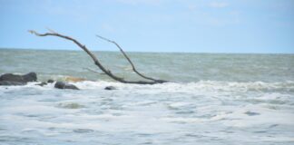 Sakarya’nın 3 ilçesinde denize girme yasağı!