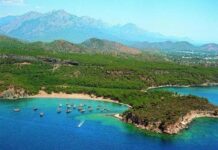 Aslan payı Antalya’nın; Türkiye genelinde 531 adet mavi bayraklı plajın 229’u Antalya’da
