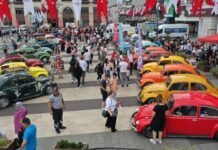 Ordu’da ‘tosbağalar’ yaylalara çıkıyor!