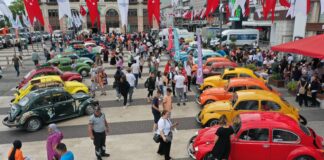 Ordu’da ‘tosbağalar’ yaylalara çıkıyor!