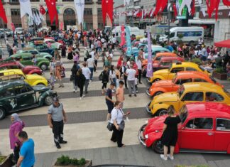 Ordu’da ‘tosbağalar’ yaylalara çıkıyor!