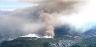 Bakan Kirişçi : ‘Datça’da yangın kontrol altında’