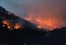 Datça’da orman yangınını söndürme çalışmaları devam ediyor;rüzgar çalışmaları olumsuz etkiliyor.