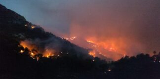Datça’da orman yangınını söndürme çalışmaları devam ediyor;rüzgar çalışmaları olumsuz etkiliyor.