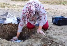 Pompalı tüfek ile öldürülen kedisi için ağladı