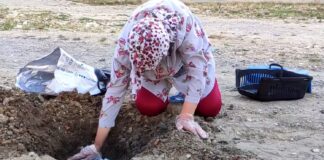 Pompalı tüfek ile öldürülen kedisi için ağladı