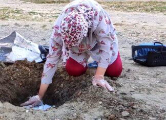 Pompalı tüfek ile öldürülen kedisi için ağladı