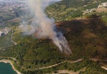 Kocaeli’de ormanlık alanda yangın çıktı; söndürme helikopterleri istendi.