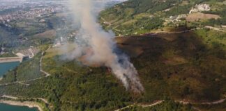 Kocaeli’de ormanlık alanda yangın çıktı; söndürme helikopterleri istendi.