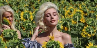 Ayçiçeği tarlasında mankenlerle foto safari…