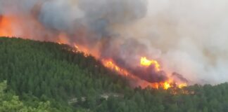 Kütahya’da orman yangını!