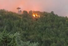 Kütahya Emet’teki orman yangını büyüyerek devam ediyor
