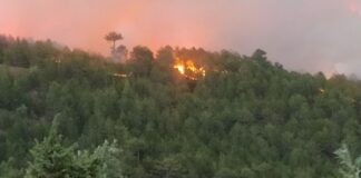 Kütahya Emet’teki orman yangını büyüyerek devam ediyor
